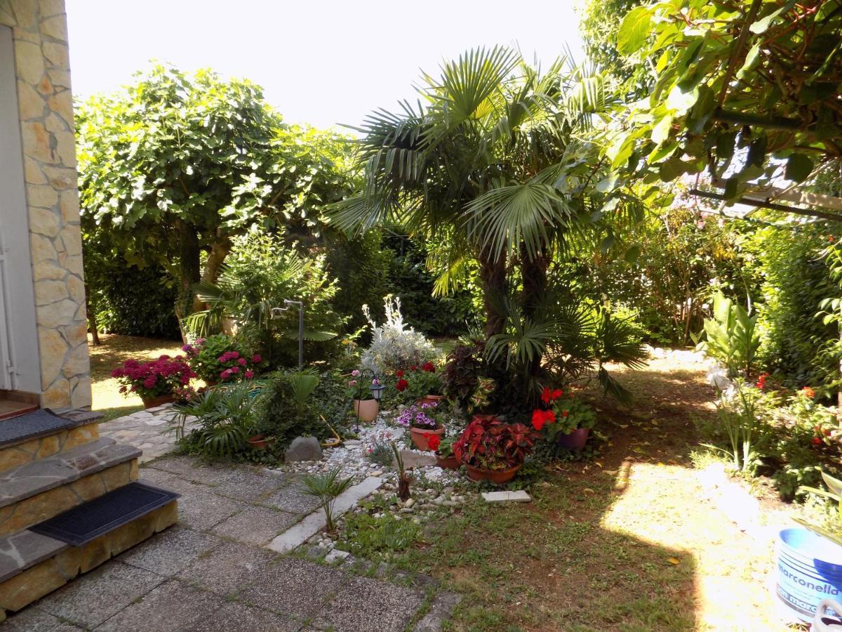 Oriella Apartmans And Room Novigrad Istria Dış mekan fotoğraf